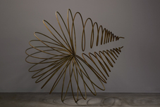 Proportional_227_ehrlich_02