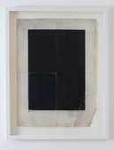 Proportional_227_ryan_brown_flag