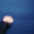 Cropped_68_f525369ea6
