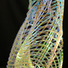 Cropped_68_69a3a8ff0a