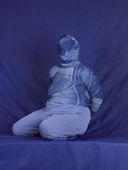Proportional_227_81caea14e4