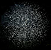 Proportional_227_937ee71822