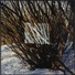 Cropped_68_7b57afaef1