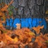 Cropped_68_b54e03228a