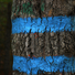 Cropped_68_a1ff7571b7