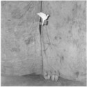 Proportional_167_9e499fac80