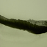 Cropped_68_7c332dd5d0