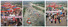 Proportional_68_4b6af8518a