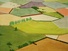 Proportional_68_2a827c0ea5