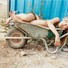Cropped_68_6438d901d1