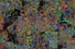 Proportional_68_fa0be04a04