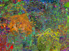 Proportional_227_510d810cc8