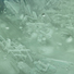 Cropped_68_2ba9be84a3