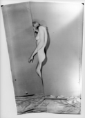 Proportional_227_c008522116
