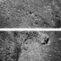 Cropped_68_d512a8725f