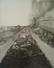 Proportional_68_95bb798d7a