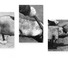 Cropped_68_855feefd61