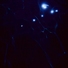 Cropped_68_a75e5e5178
