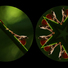 Cropped_68_38e5ddcdd8