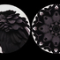 Cropped_68_db6a56cea8