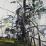 Cropped_68_tree