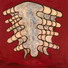 Cropped_68_web2011_03