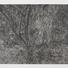 Cropped_68_841ae042