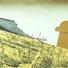 Cropped_68_ae3827b2