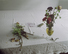 Proportional_68_laura