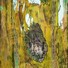 Cropped_68_mf_thebacchae09_96x60_l-506x800