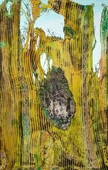 Proportional_227_mf_thebacchae09_96x60_l-506x800