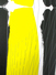 Proportional_68_disuverodet1