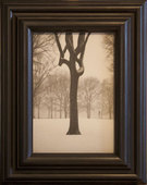 Proportional_227_12