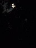 Proportional_227_kk-3703