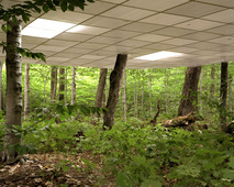 Proportional_227_domaine_de_l_angle_2009_copy