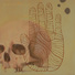 Cropped_68_f6c422b4de