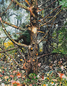Proportional_227_castellanos_windowtree