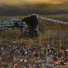 Cropped_68_castellanos_mahanoycityii