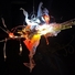 Cropped_68_1_dnasabfios2010