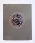 Proportional_227_alyson2