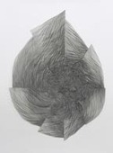 Proportional_227_201101_l_for_pl