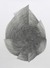 Proportional_68_201101_l_for_pl