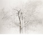 Proportional_167_thumbnails-3