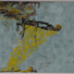 Cropped_68_40685