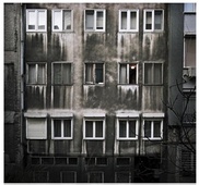 Proportional_227_ali_taptik