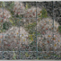 Cropped_68_forsythdec6_1917-01