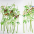 Cropped_68_ruble_curtain