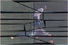Proportional_68_20110301003240-002--2.28