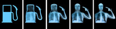 Proportional_227_evolution-of-man