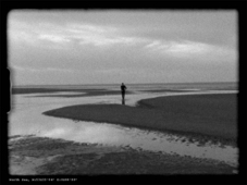 Proportional_227_faithfull_04